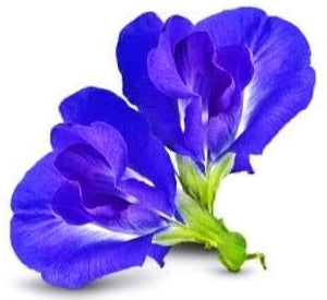 Blue Butterfly Pea Flower (Loose Flower), Herbal Drink, 50g, 100% Natural, Premium Quality, UK Seller