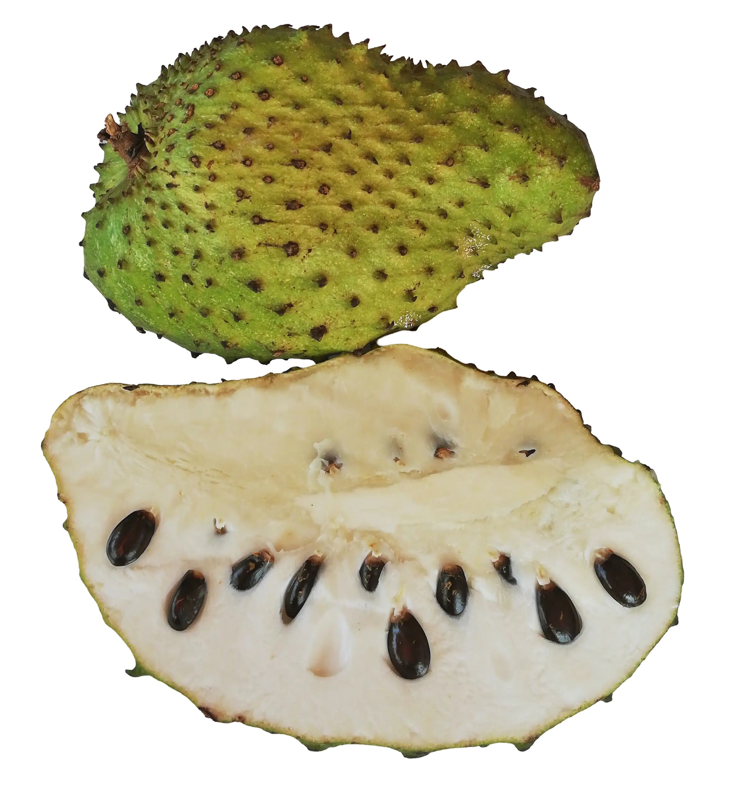 Soursop Fruit Powder, 200g, in Resealable Pouch, Dehydrated 100% Pure & Natural, Grade A Healthy Tasty Fruit Powder