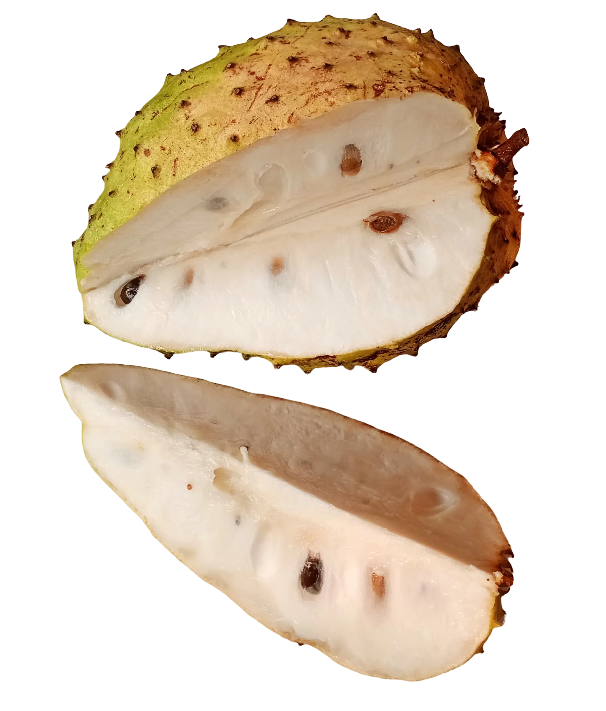 Soursop Fruit Powder, 200g, in Resealable Pouch, Dehydrated 100% Pure & Natural, Grade A Healthy Tasty Fruit Powder