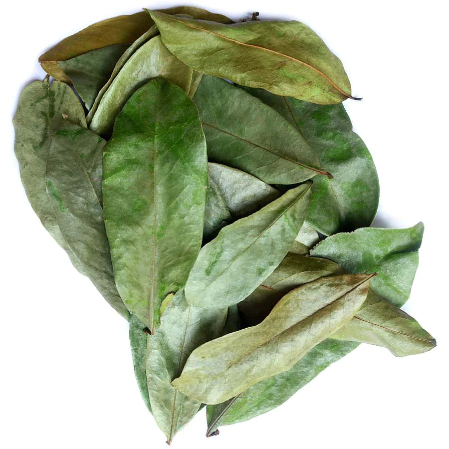 Soursop Leaves, 50g,  Approximately Dried 100 Leaves, Boost Immune System, Promotes Healthy Skin, Premium Grade