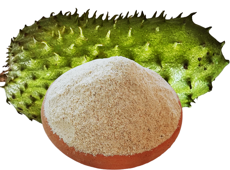 Soursop Fruit Powder, 100g, in Resealable Pouch, Dehydrated 100% Pure & Natural, Grade A Healthy Tasty Fruit Powder