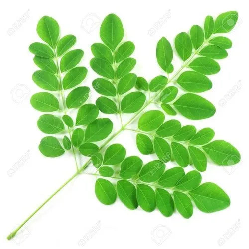 Dried Moringa Leaves Powder, 100g, Supper food, It balances blood sugar, Premium Grade