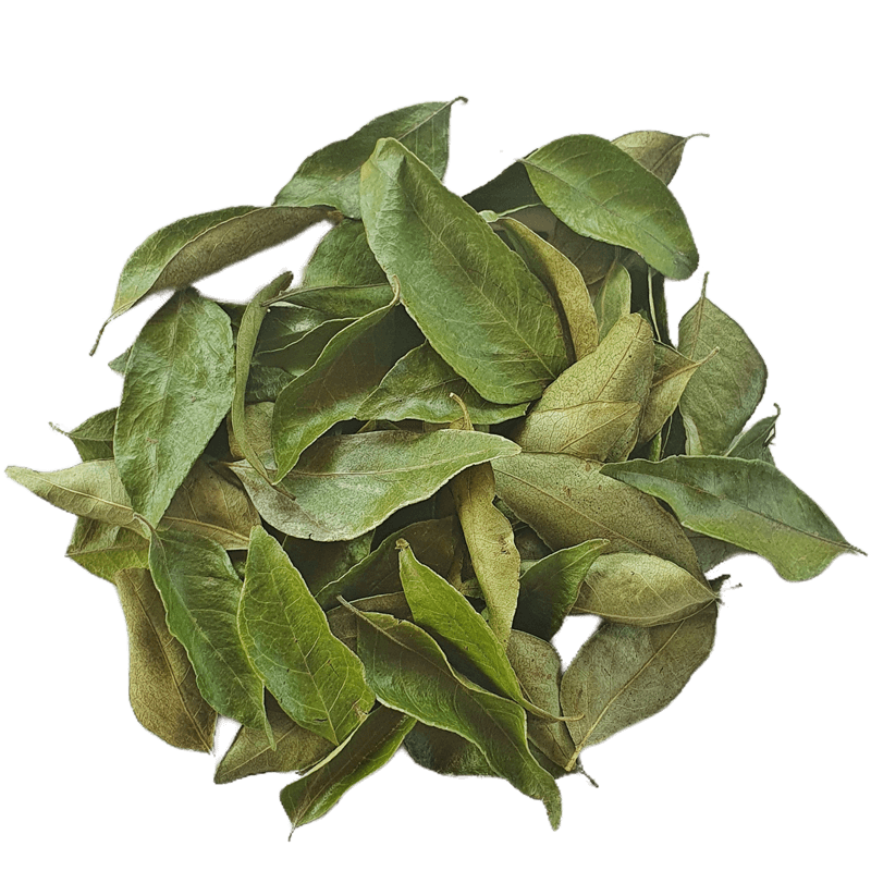 Curry Leaves Whole 20g (0.7oz) - Naturally grown, Air dried Beverages & Tobacco > Food Items > Seasonings & Spices by Ceylon Cinnamons Available at www.ceylon cinnamons.co.uk