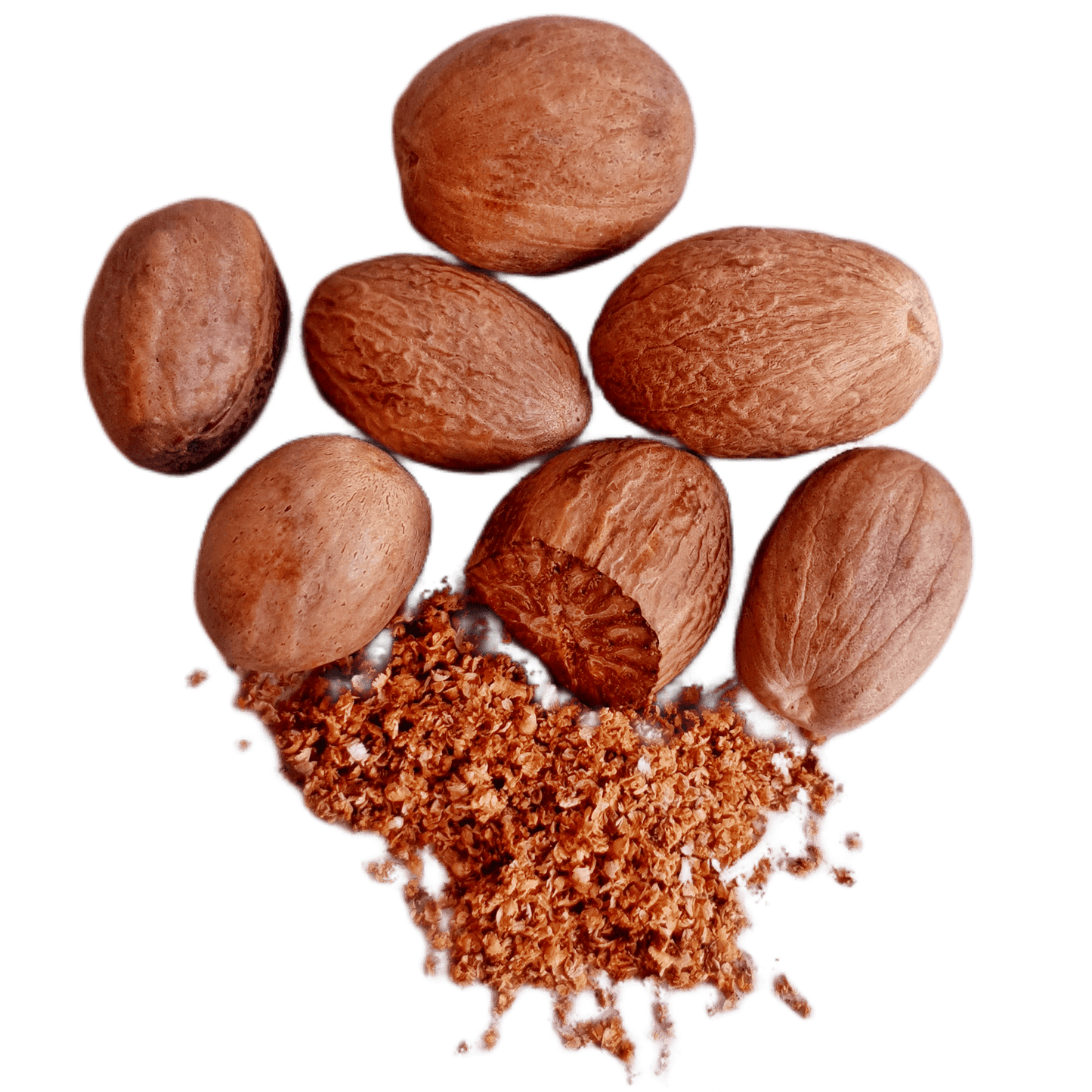 Organic Nutmeg Whole - 56g (2oz) - Organic Premium Grade